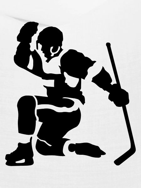 Eishockey goal