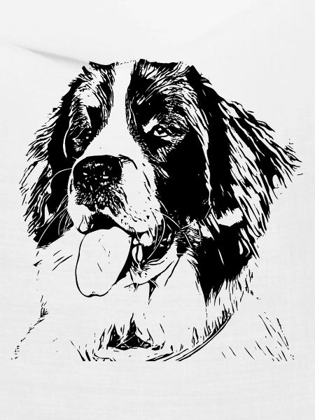Landseer
