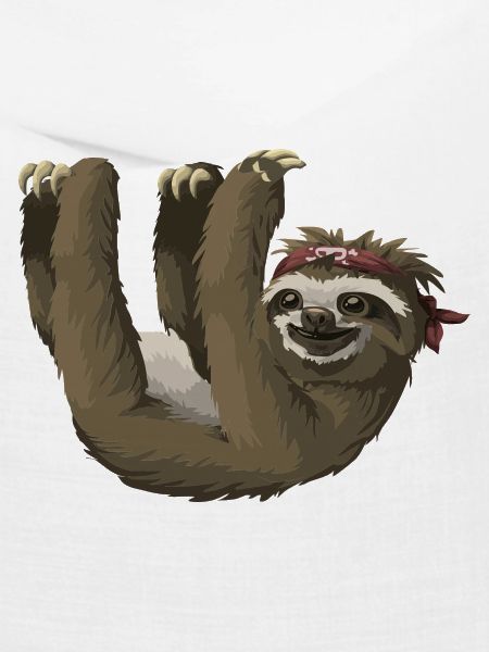 Faultier / sloth