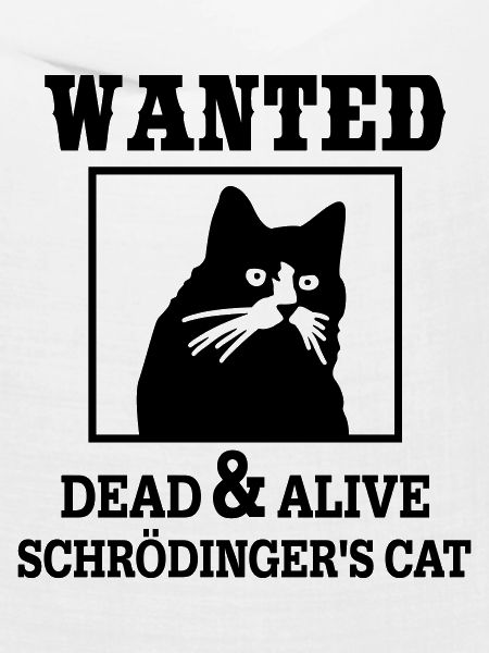 Schrödingers Katze gesucht, Nerdiges Quantenphysik