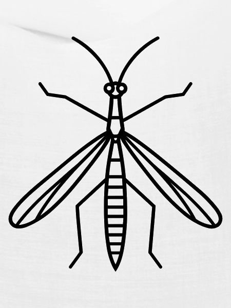 Stick-Insekt