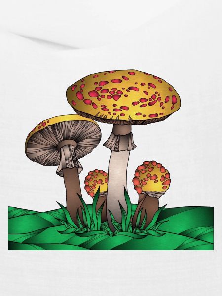 Magic Mushroom