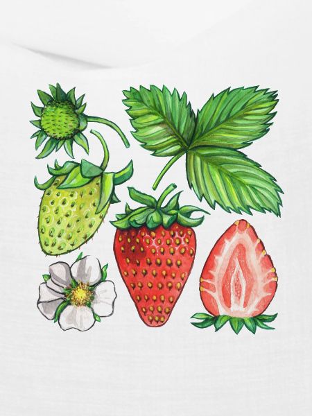 Erdbeeren