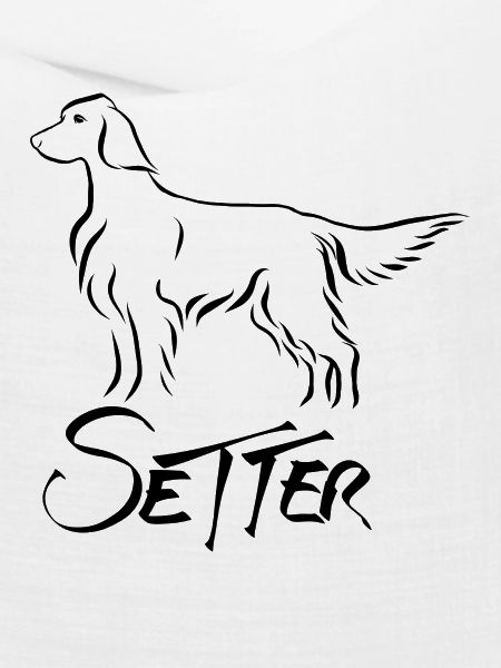 Setter stehend