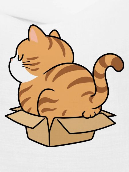 Katzenkind im Karton