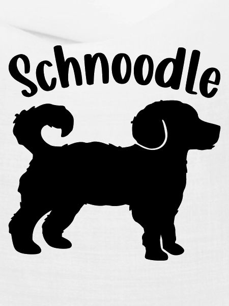 Schnoodle Hunde