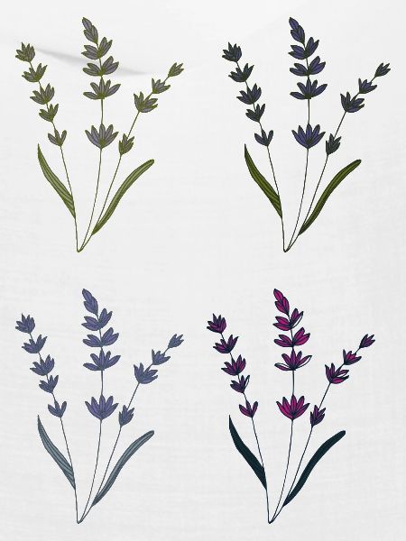lavendel