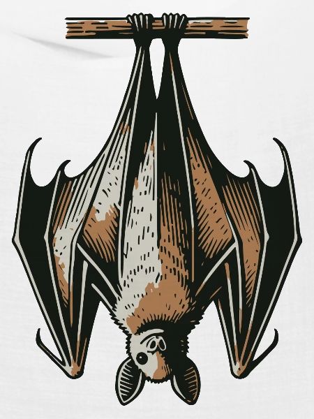 Fledermaus