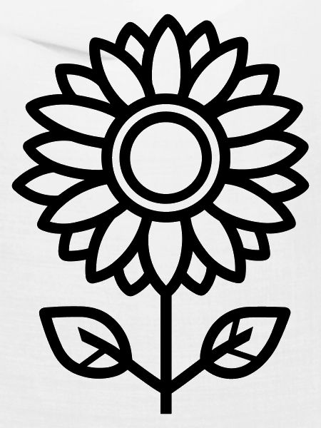 Sonnenblume