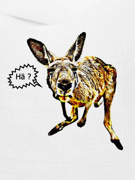Känguru
