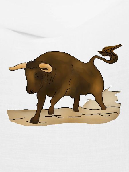 Stier, Bulle