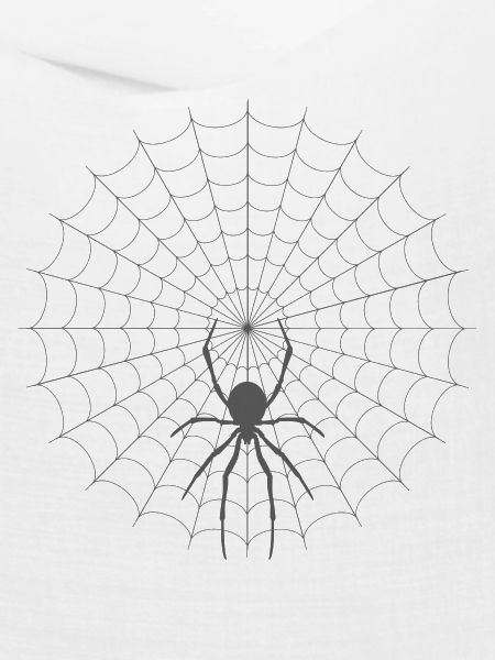 Spinnennetz Silhouette