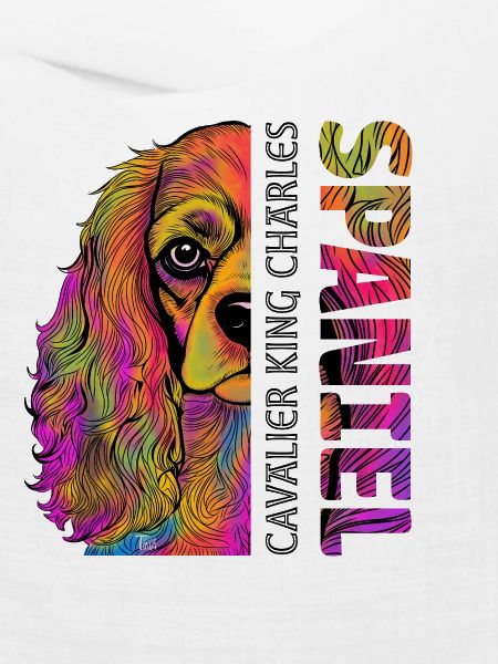 Cavalier King Charles Spaniel