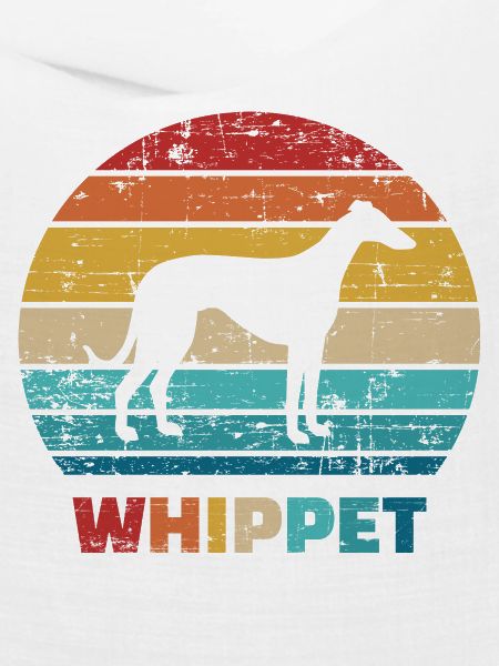 Whippet