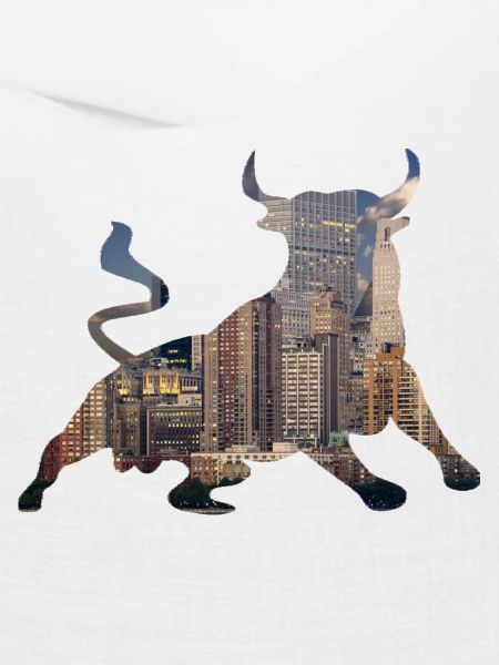 Wall-Street Bulle