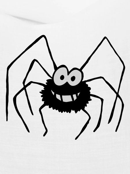 Die Spinne