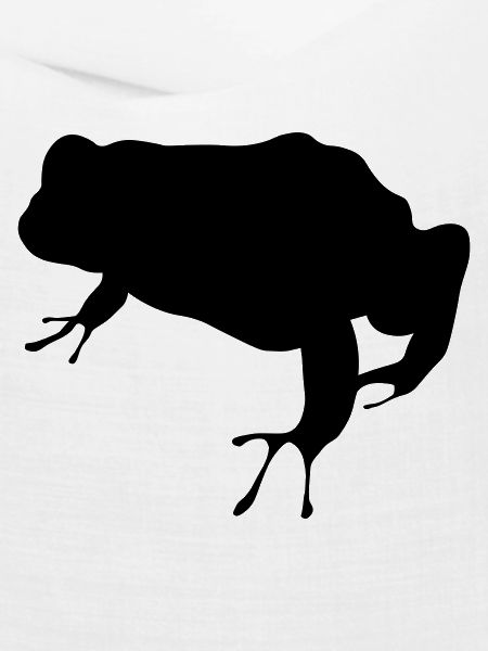 Frosch