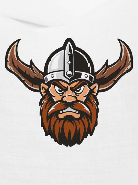 Wikinger 1