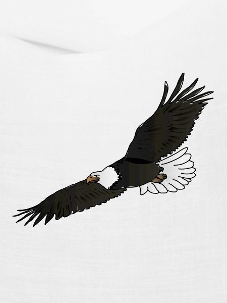 Der Adler / Der Adler