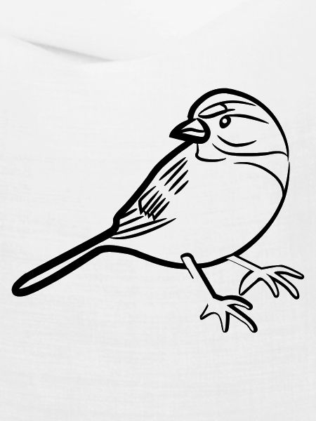 Spatz-Illustration