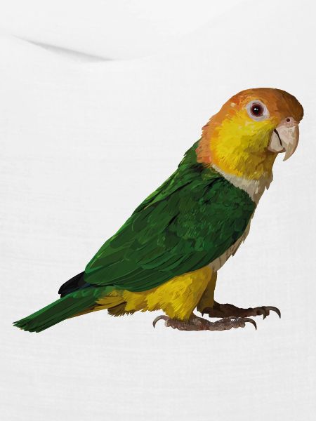caique