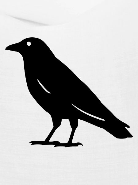 Krähe