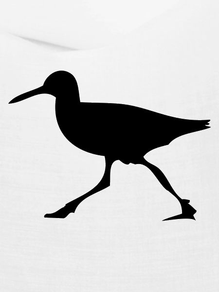 Laufvogel