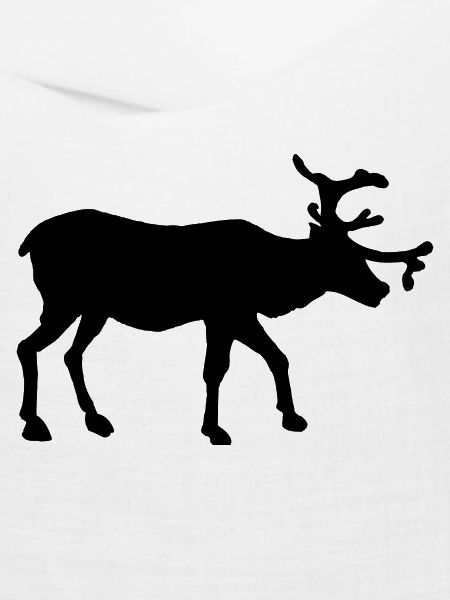 Reindeer