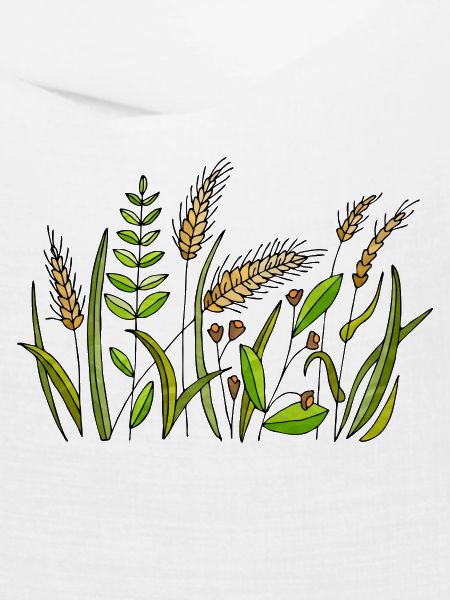 Gras