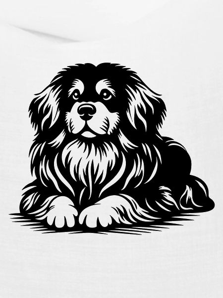 Tibet Spaniel