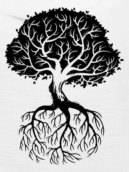 Roots