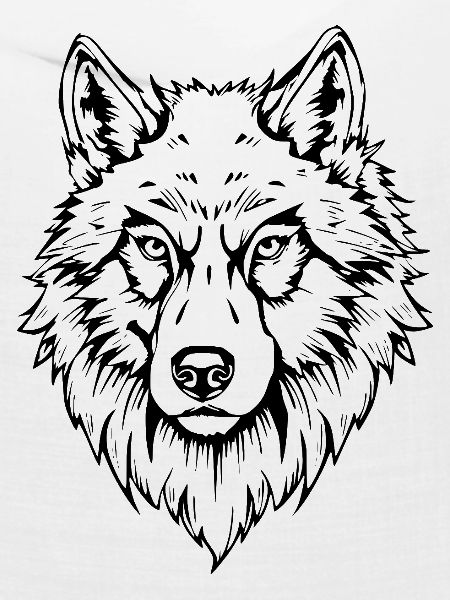 schwarzer Wolf Kopf Gesicht 