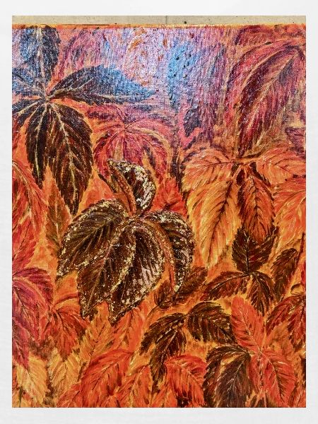 Herbstlaub Farbenspiel