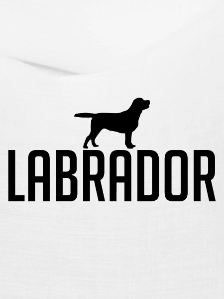 LABRADOR Hunderasse