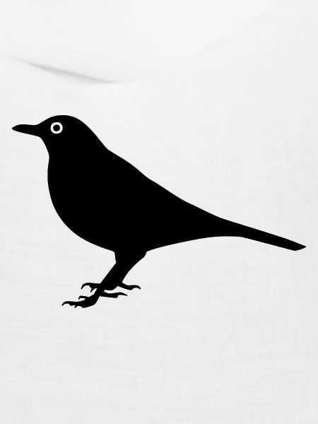 Vogel Amsel