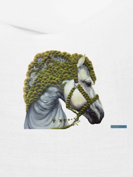 Pegasus