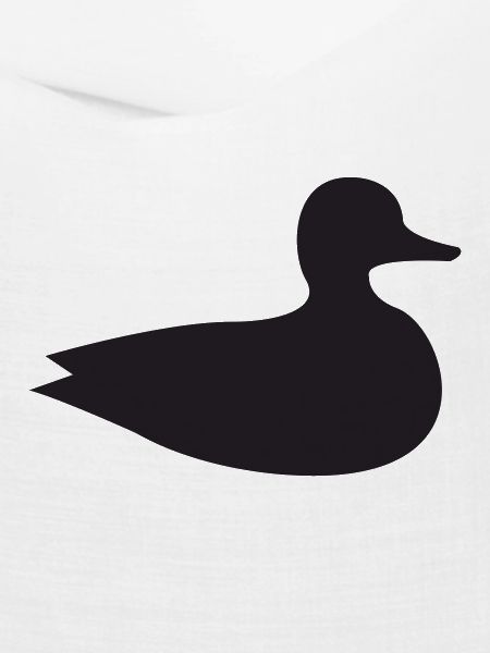 Ente