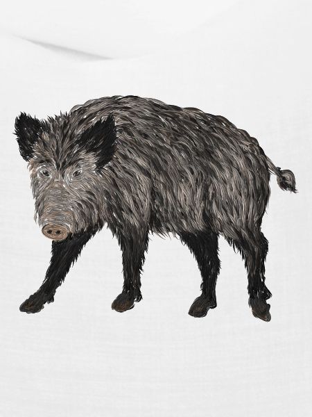 wildschwein jagd