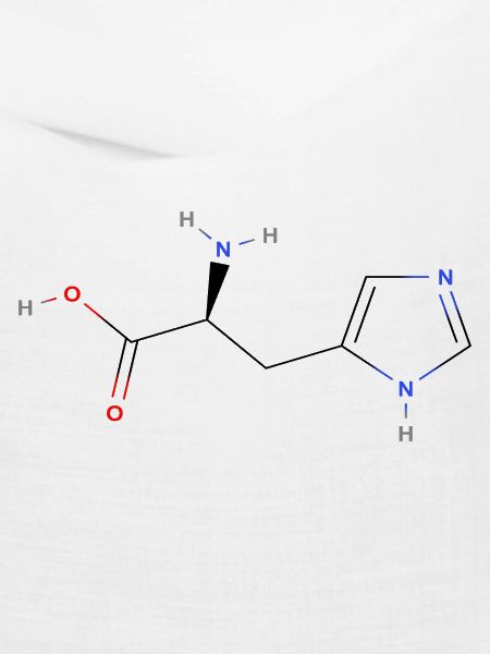 Histidin Molekül - Farbige Strukturformel