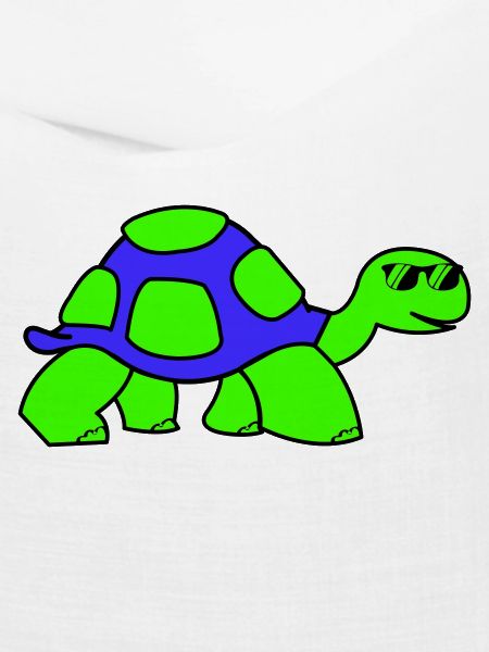 cool turtle