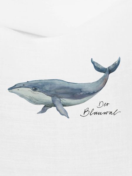 Der Blauwal