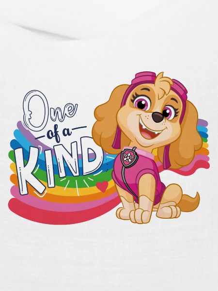 Paw Patrol Skye Regenbogen-Design