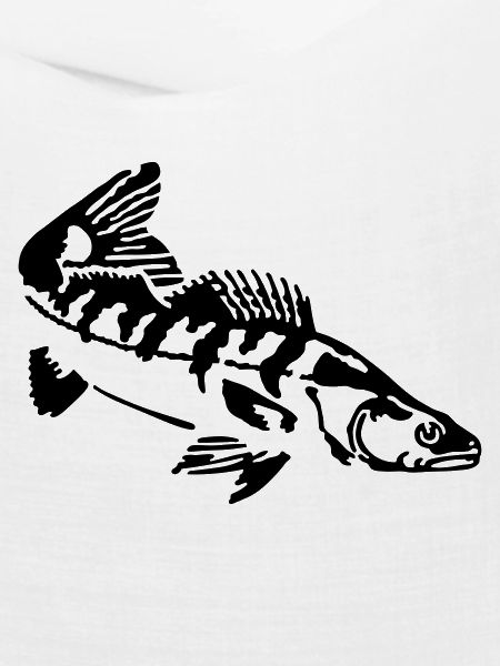Zander