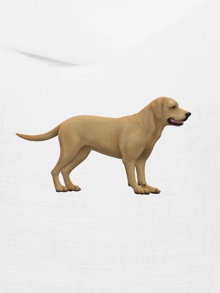 Hunde Design