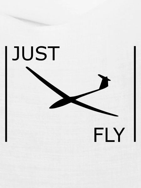 Segelflugzeug