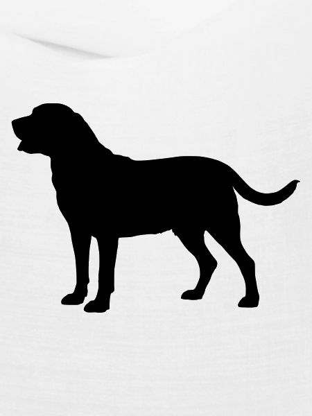 Broholm Dog