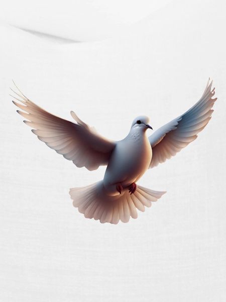 Weiße Taube im Flug