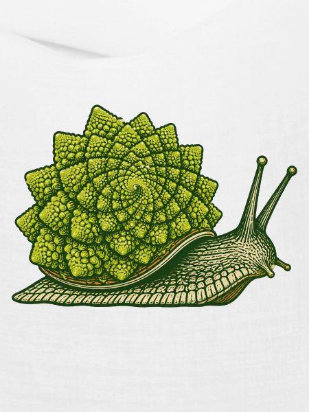 Romanesco-Schnecke