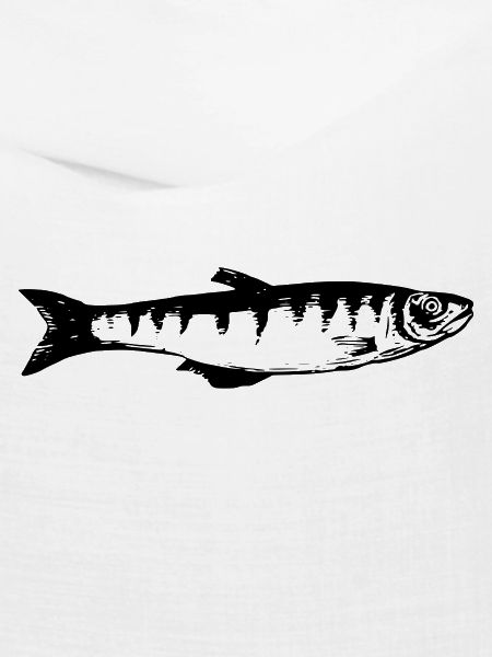 fish514