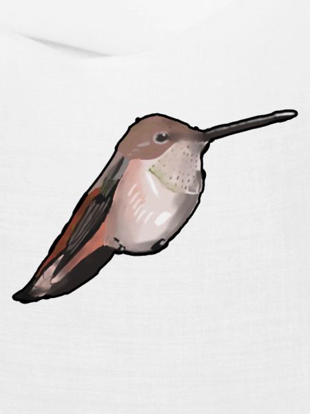 Kolibri im Abendlicht